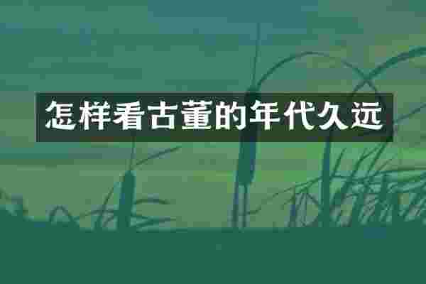 怎样看古董的年代久远