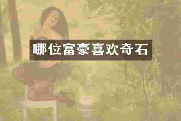 哪位富豪喜欢奇石