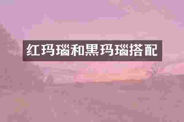 红玛瑙和黑玛瑙搭配