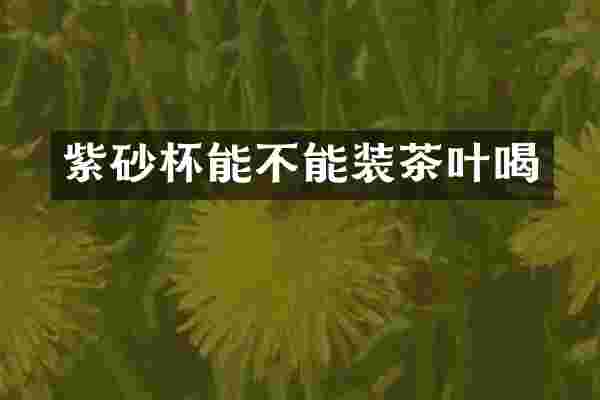 紫砂杯能不能装茶叶喝