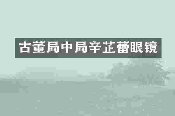 古董局中局辛芷蕾眼镜