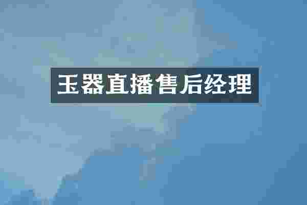玉器直播售后经理