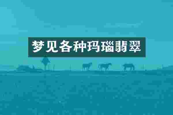 梦见各种玛瑙翡翠