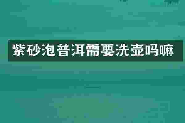 紫砂泡普洱需要洗壶吗嘛