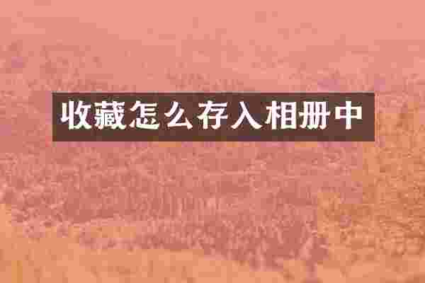 收藏怎么存入相册中