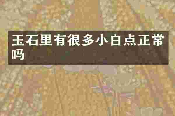 玉石里有很多小白点正常吗