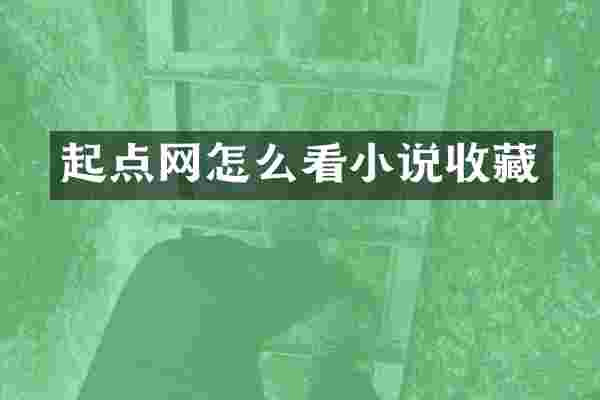 起点网怎么看小说收藏