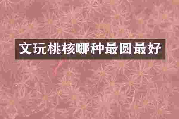 文玩桃核哪种最圆最好