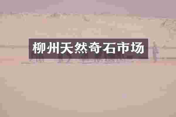 柳州天然奇石市场