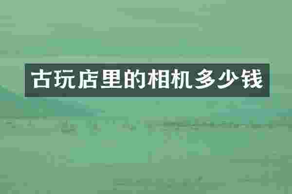 古玩店里的相机多少钱