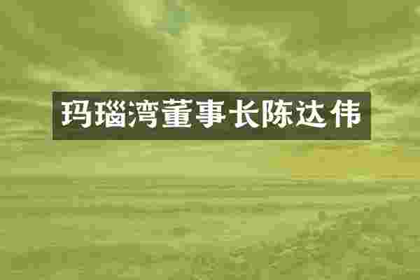 玛瑙湾董事长陈达伟