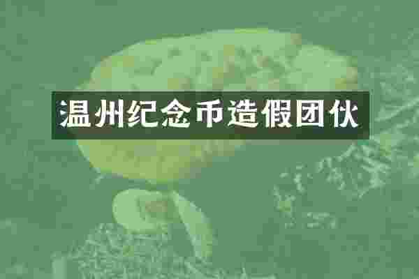 温州纪念币造假团伙