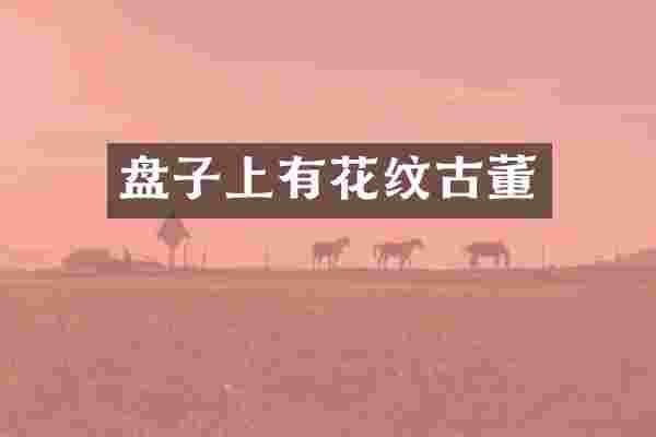 盘子上有花纹古董