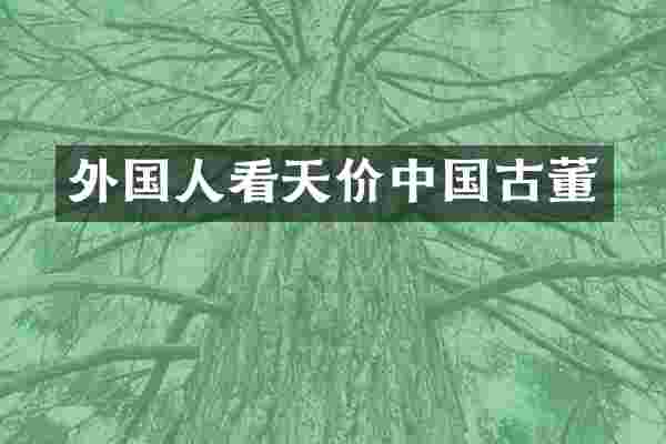 外国人看天价中国古董