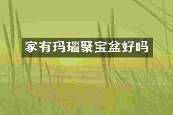 家有玛瑙聚宝盆好吗