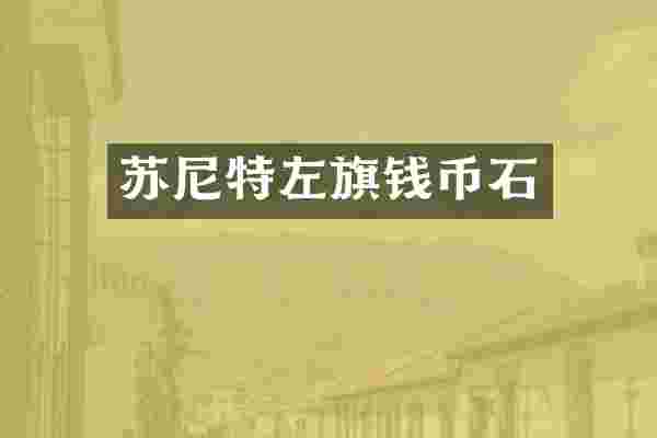 苏尼特左旗钱币石