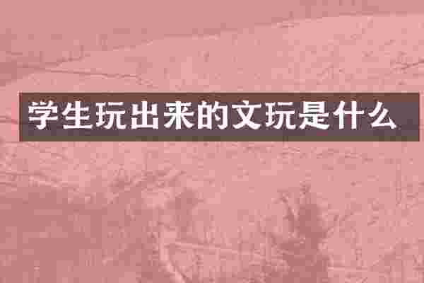 学生玩出来的文玩是什么
