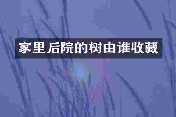 家里后院的树由谁收藏