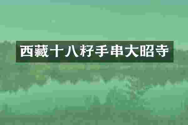 西藏十八籽手串大昭寺