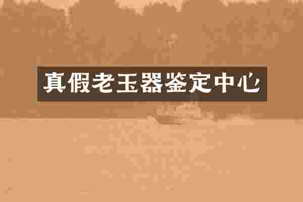 真假老玉器鉴定中心