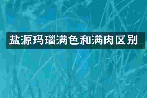 盐源玛瑙满色和满肉区别