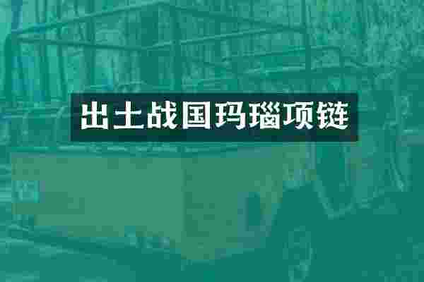 出土战国玛瑙项链