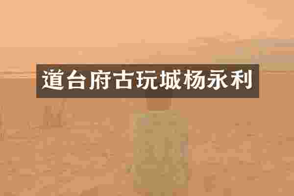 道台府古玩城杨永利