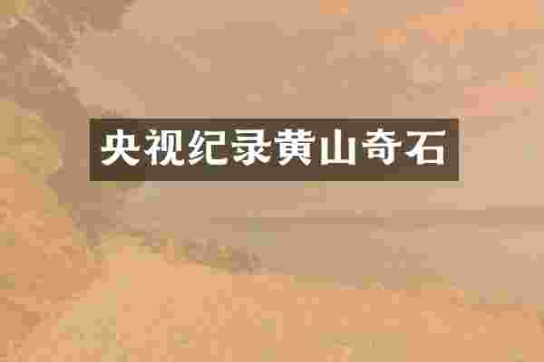 央视纪录黄山奇石