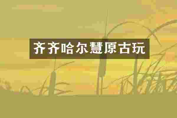 齐齐哈尔慧原古玩