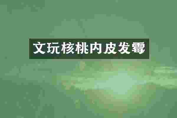 文玩核桃内皮发霉