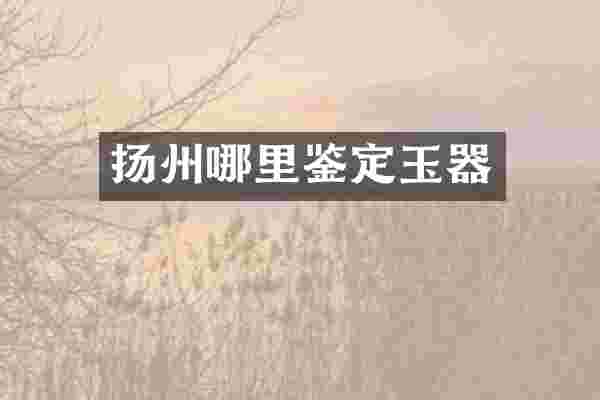 扬州哪里鉴定玉器