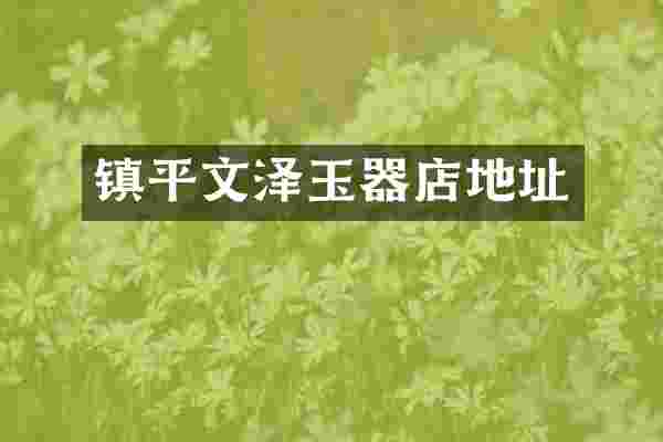 镇平文泽玉器店地址
