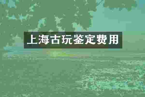 上海古玩鉴定费用