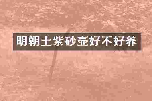 明朝土紫砂壶好不好养