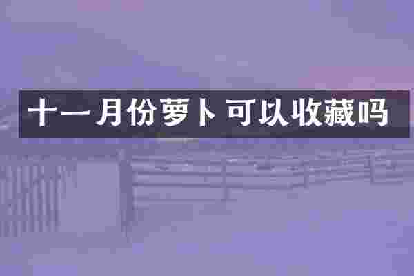 十一月份萝卜可以收藏吗