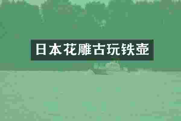 日本花雕古玩铁壶