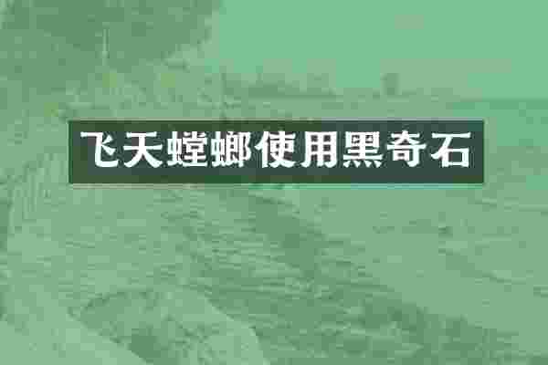 飞天螳螂使用黑奇石