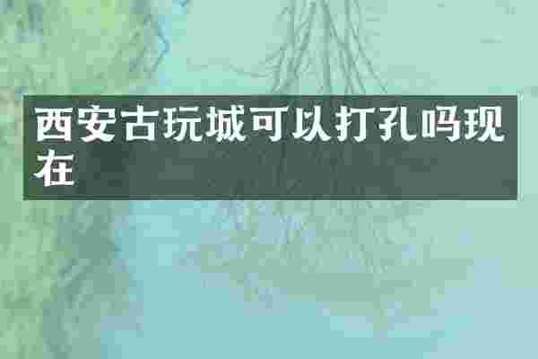 西安古玩城可以打孔吗现在