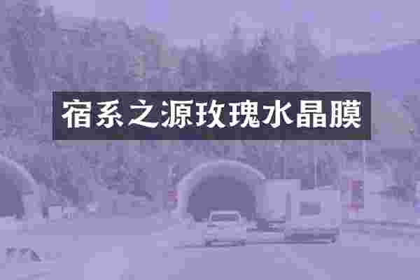 宿系之源玫瑰水晶膜
