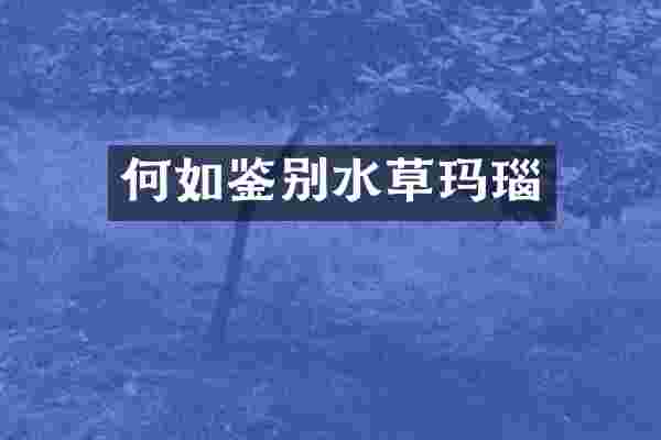 何如鉴别水草玛瑙