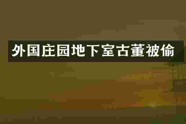 外国庄园地下室古董被偷