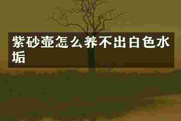 紫砂壶怎么养不出白色水垢