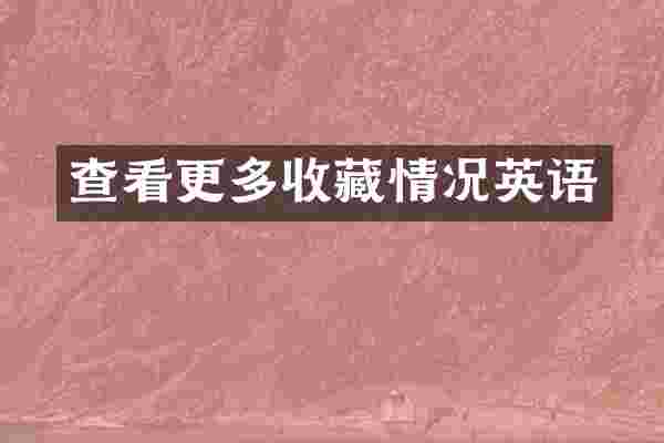 查看更多收藏情况英语