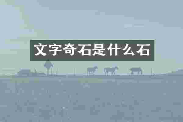文字奇石是什么石