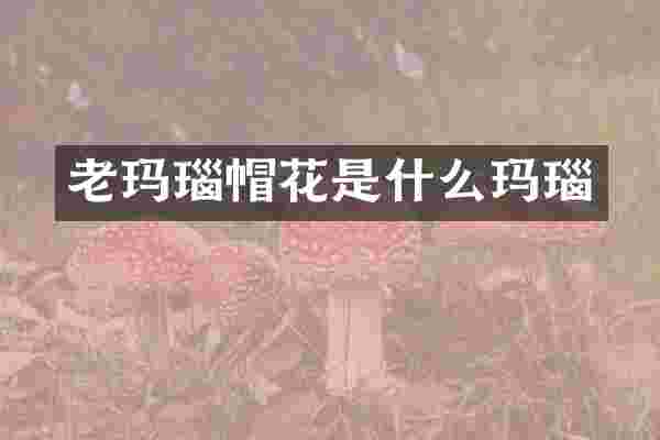 老玛瑙帽花是什么玛瑙