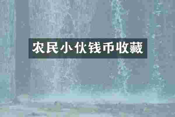 农民小伙钱币收藏