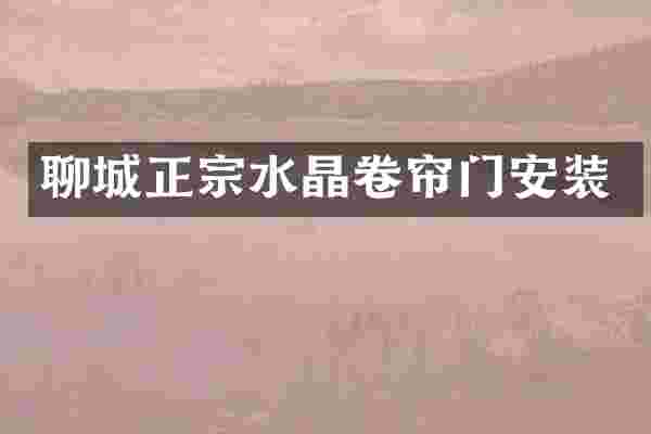 聊城正宗水晶卷帘门安装