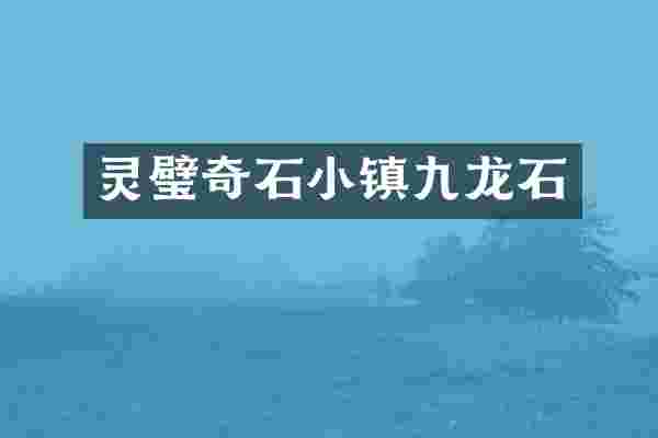 灵璧奇石小镇九龙石