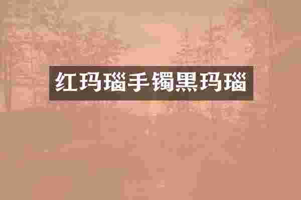 红玛瑙手镯黑玛瑙