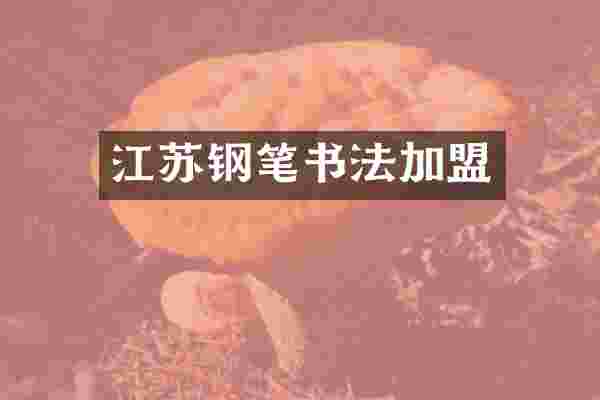 江苏钢笔书法加盟